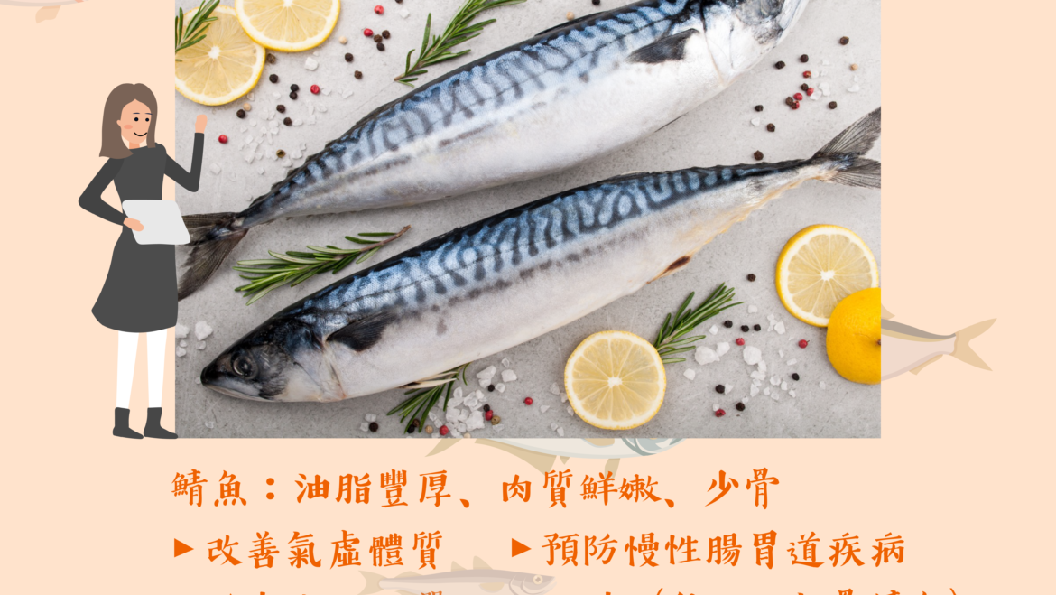 【#海產小知識】鯖魚篇💛