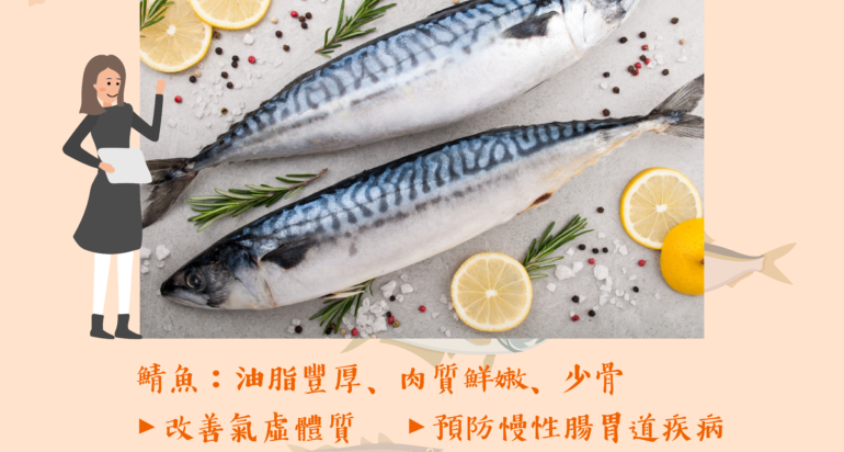 【#海產小知識】鯖魚篇💛